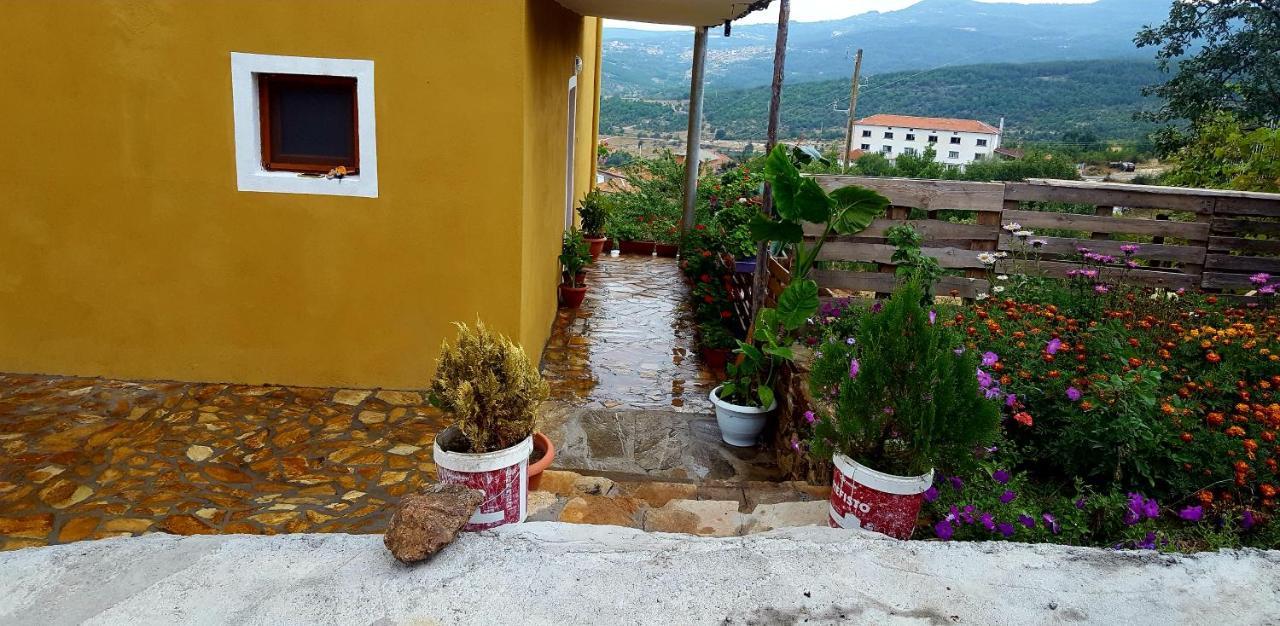 Guest House Agush Kribul Luaran gambar