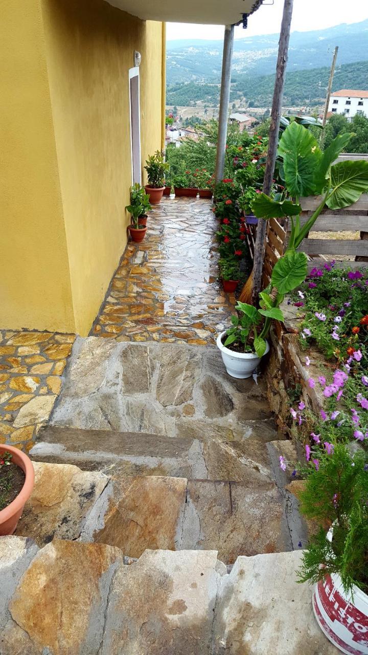 Guest House Agush Kribul Luaran gambar